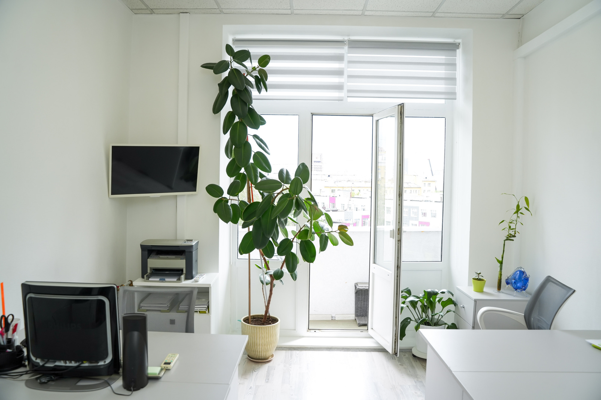 Новосибирская обл., г. Новосибирск, пр-кт. Димитрова, 7